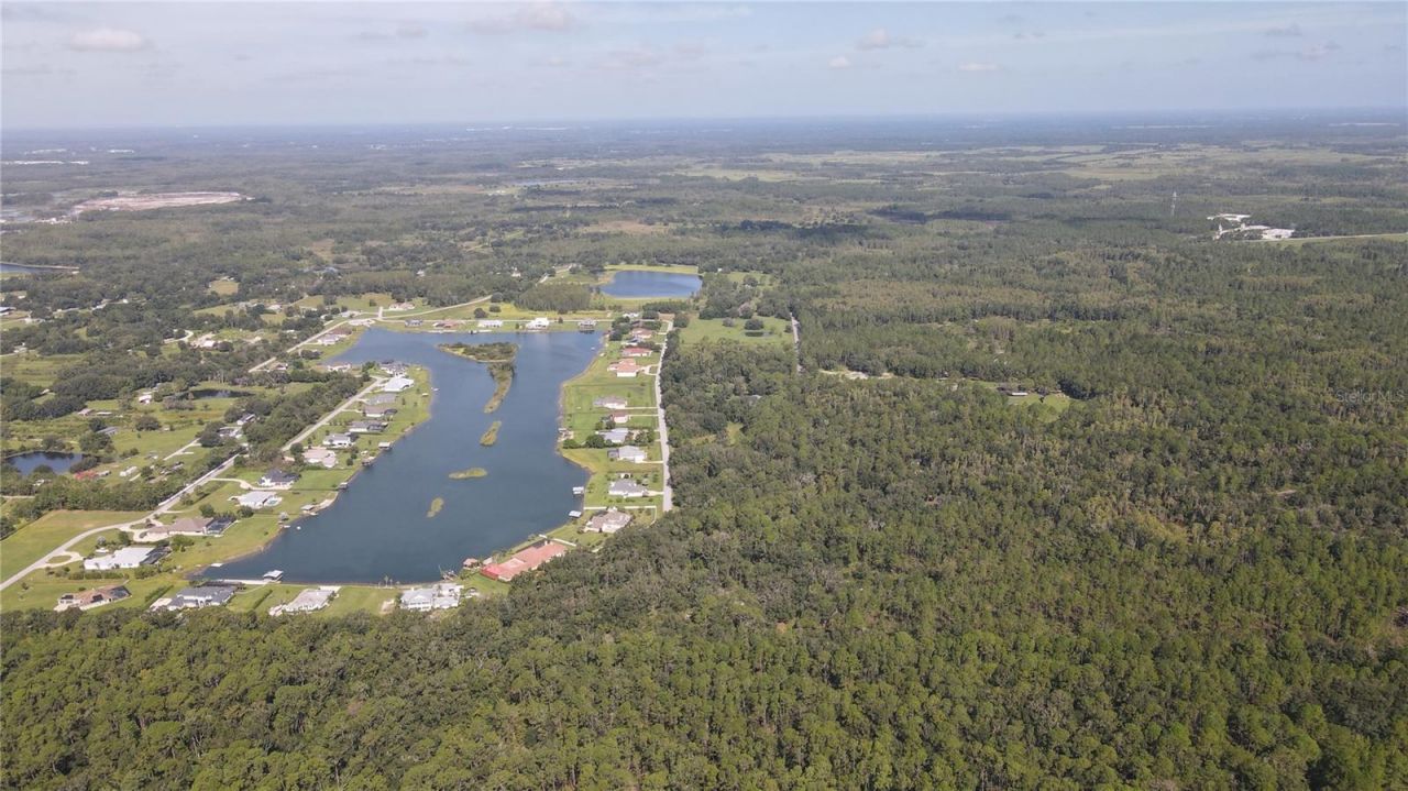 10460 Ehren Cutoff, Land O Lakes, FL 34639 Photo