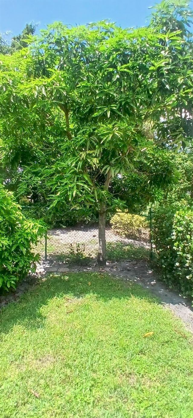 1124 Rialto Drive, Boynton Beach, FL 33436 Photo