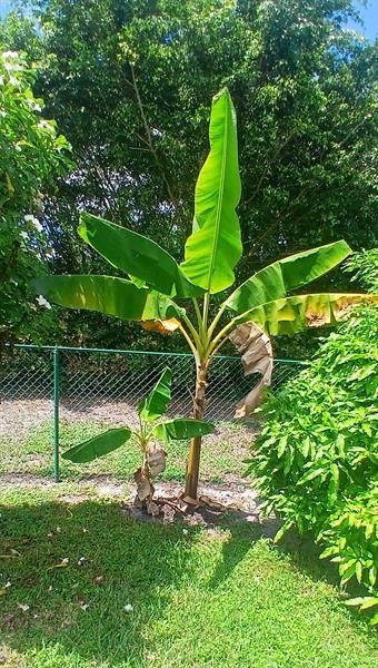 1124 Rialto Dr, Boynton Beach, FL 33436 Photo