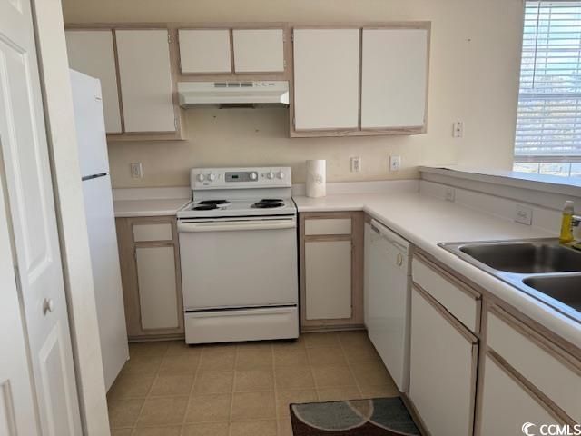 1306 River Oaks Dr. Photo 6