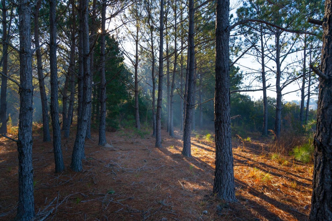 0 Rushland Landing Road Photo 14