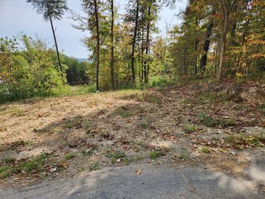 Lot #3 Routt Road, Wallingford, KY 41093