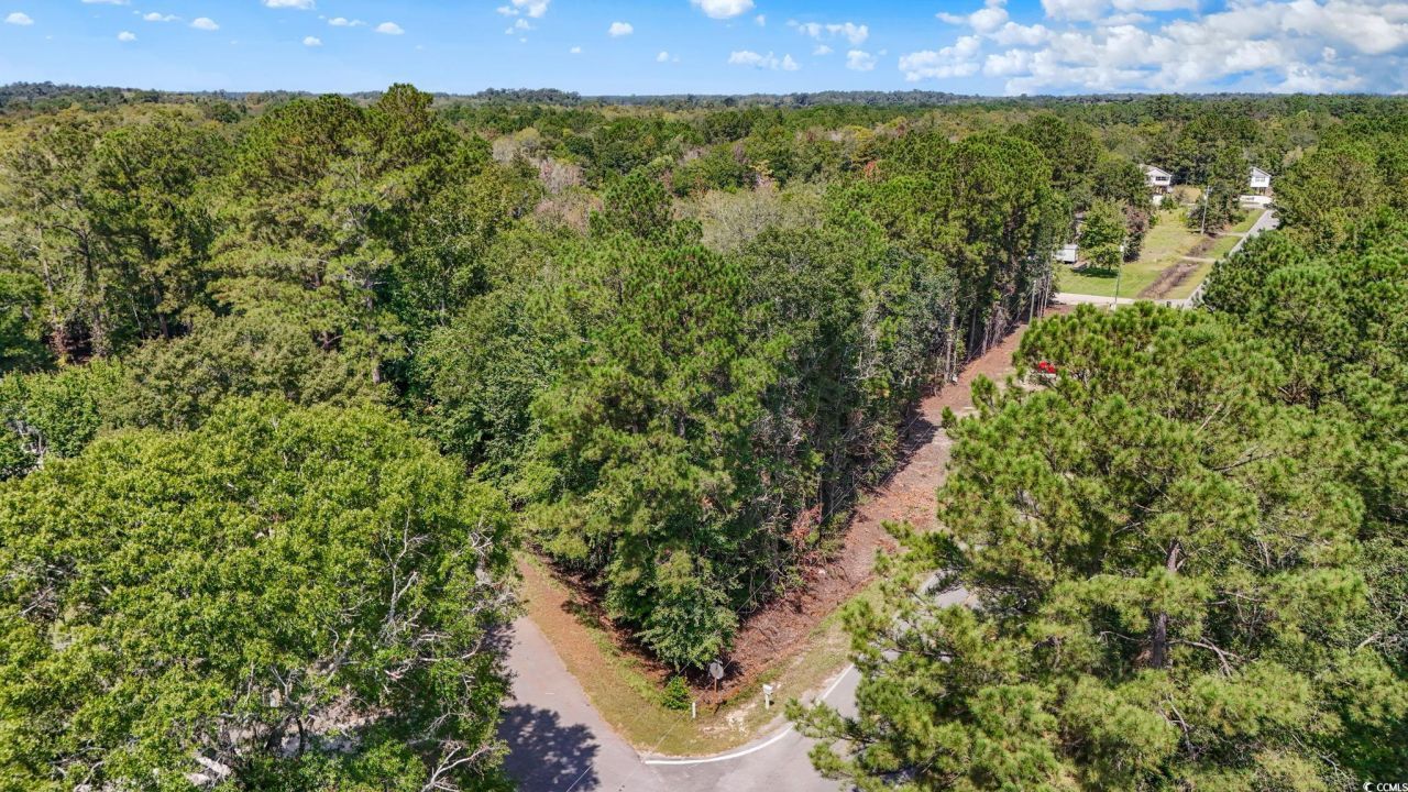 2031 Lees Landing Circle Photo 11