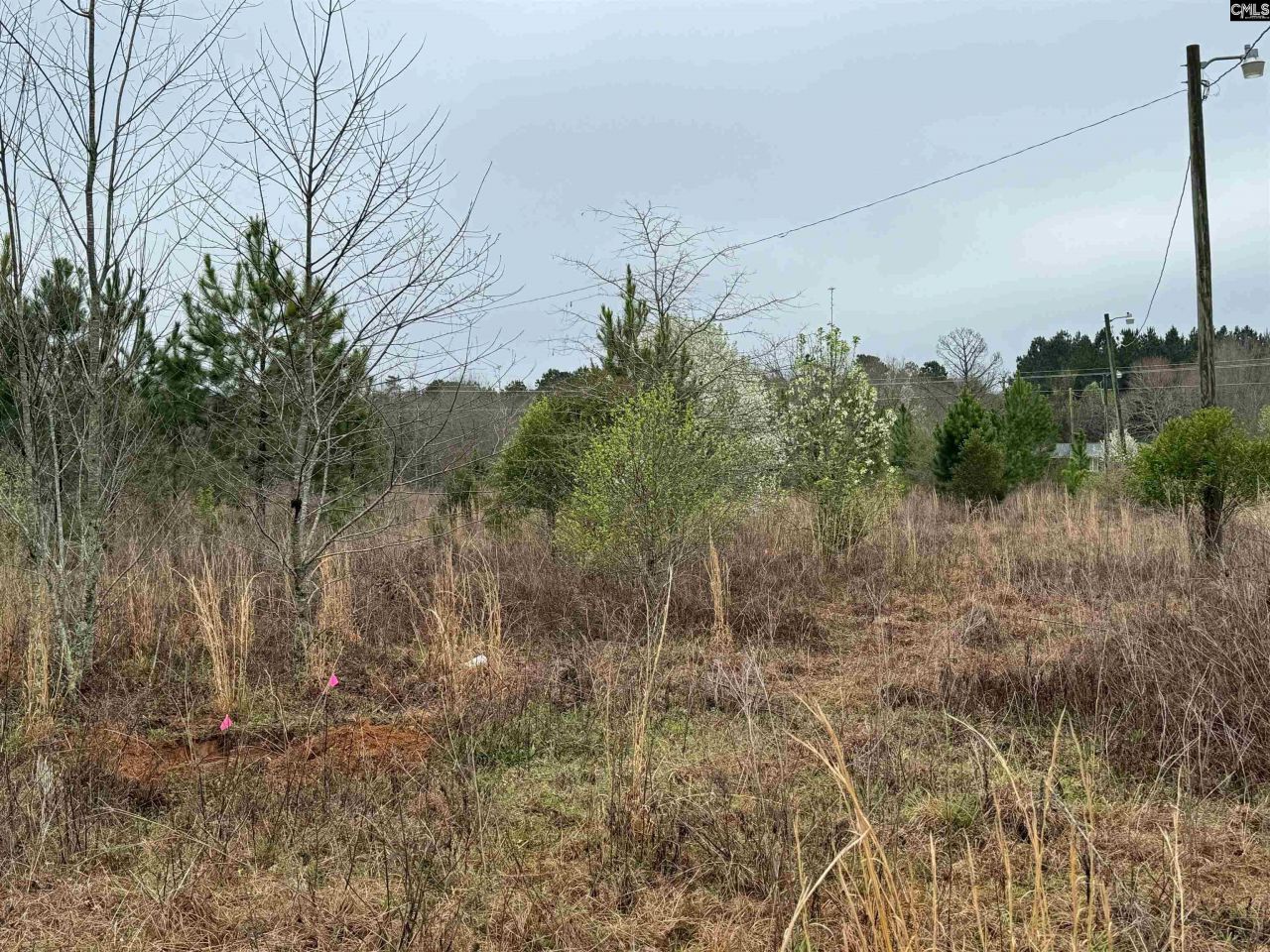 920 Whetstone Road Photo 4