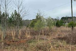 920 Whetstone Road photo 4