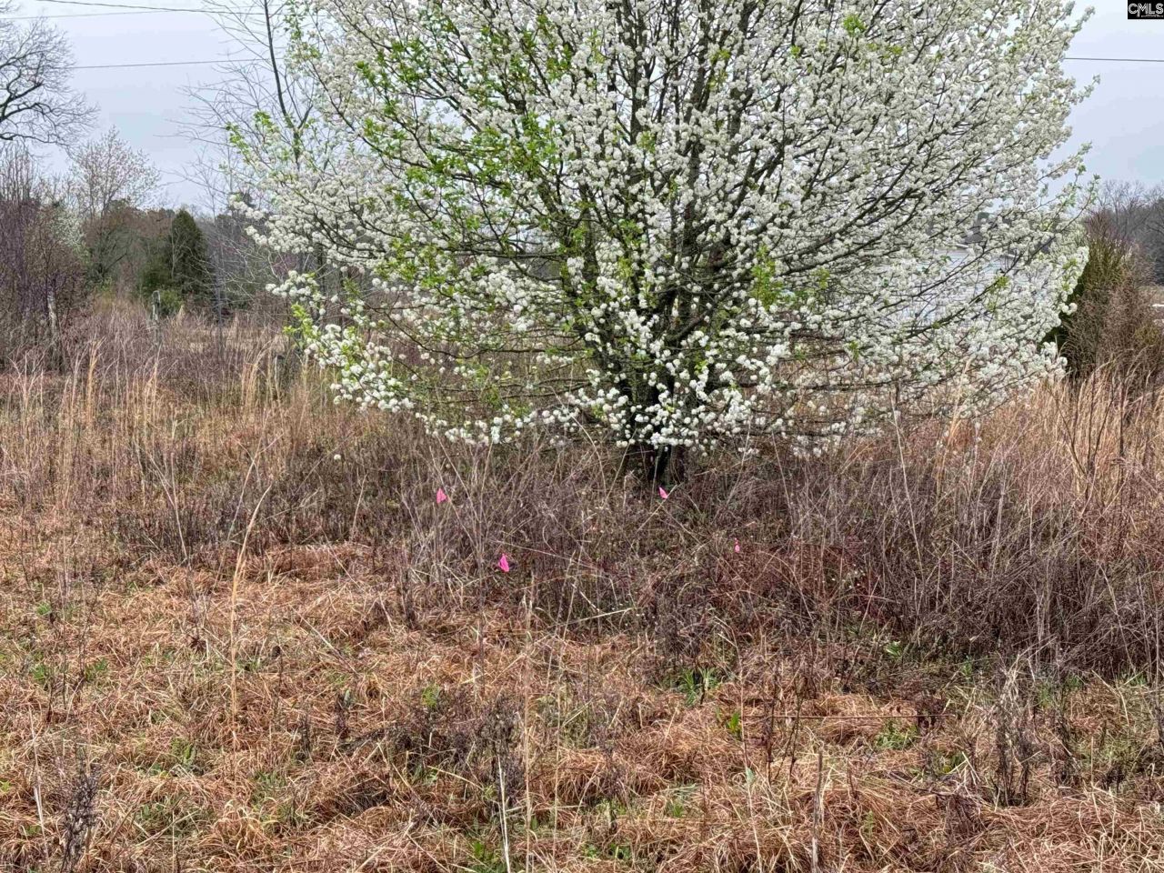 920 Whetstone Road Photo 7