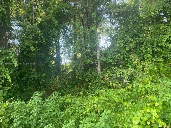 149 149, Summerfield, FL 34491