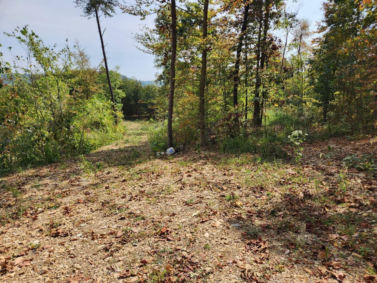 Lot #3 Routt Road, Wallingford, KY 41093 Main Photo
