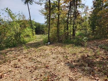 Lot #3 Routt Road, Wallingford, KY 41093