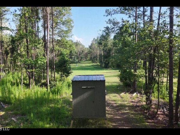 Bonds Road, Roxie, MS 39661