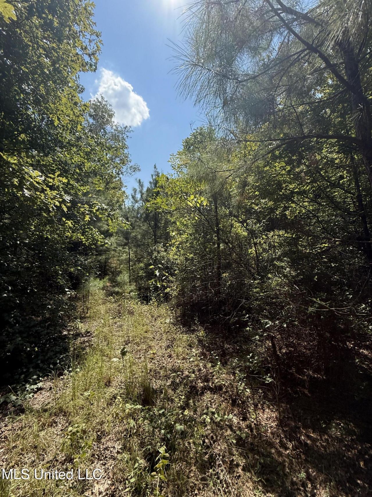 4920 Wiggins Loop Road, Carthage, MS 39051 Main Photo