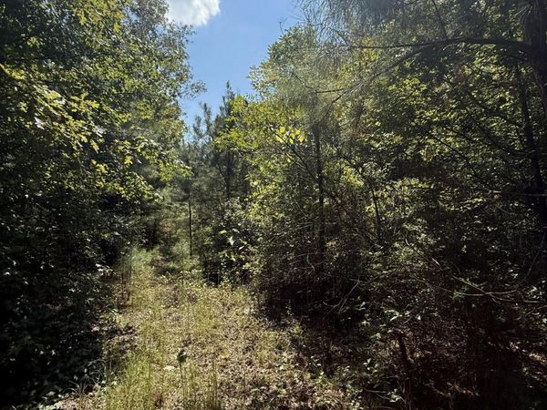 4920 Wiggins Loop Road, Carthage, MS 39051