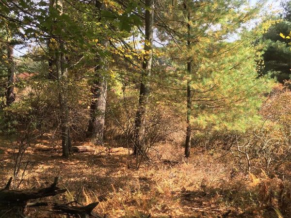 Lot 2A Renee Drive, Other, PA 18328