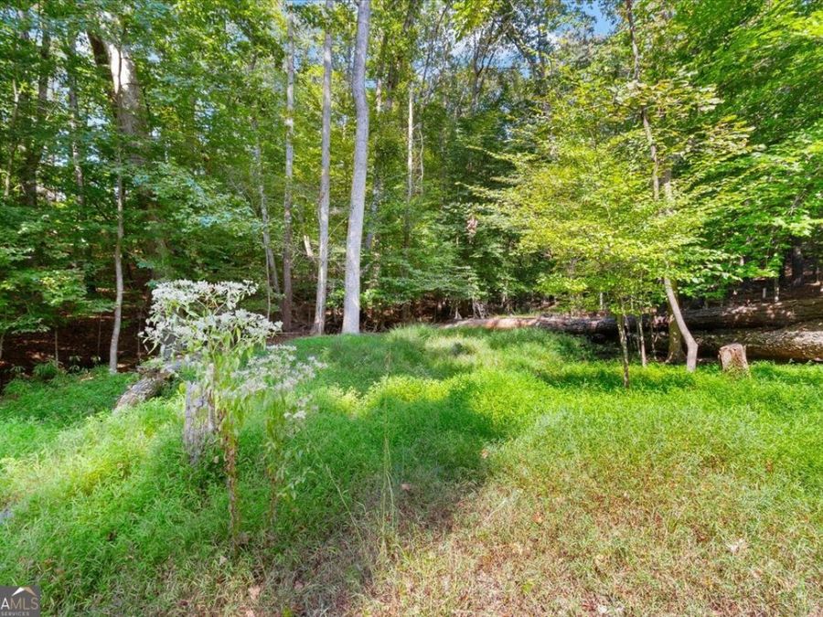 Property Image 82