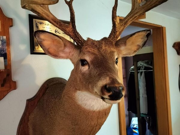 M4L14 Village Road, Jackson, ME 04921