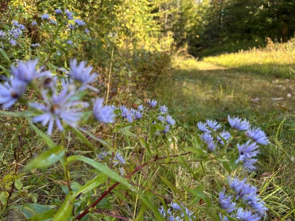 M4L14 Village Road, Jackson, ME 04921