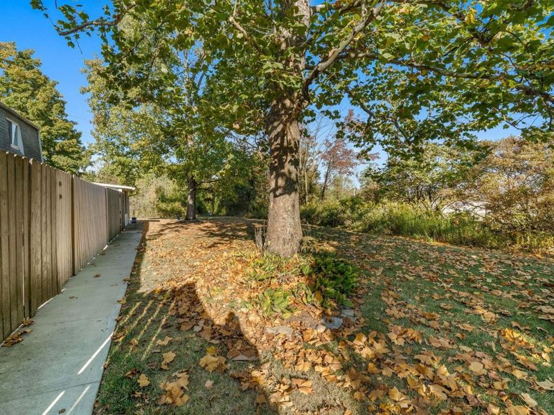 590 Willis Lane, Delaware, OH 43015 Photo 7