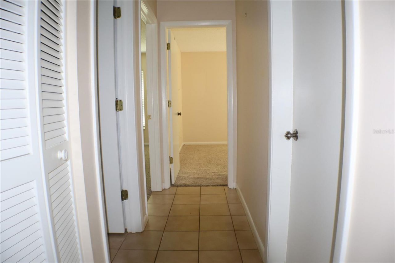 11806 White Ash Drive, New Port Richey, FL 34654 Photo