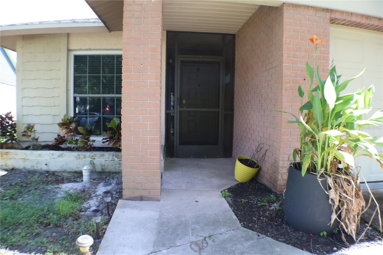 11806 White Ash Drive, New Port Richey, FL 34654 Photo