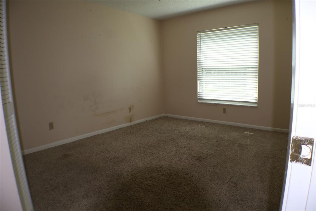 11806 White Ash Drive, New Port Richey, FL 34654 Photo