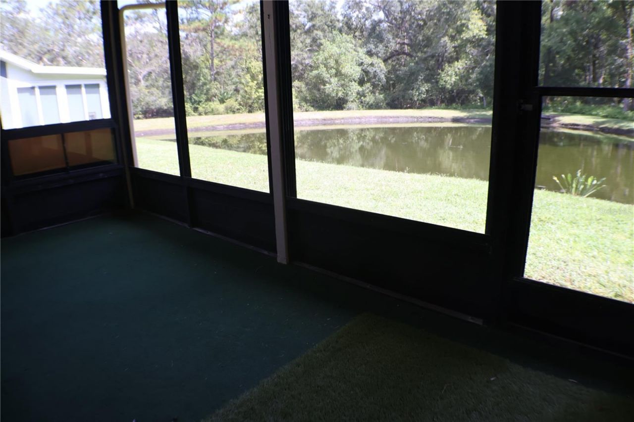11806 White Ash Drive, New Port Richey, FL 34654 Photo
