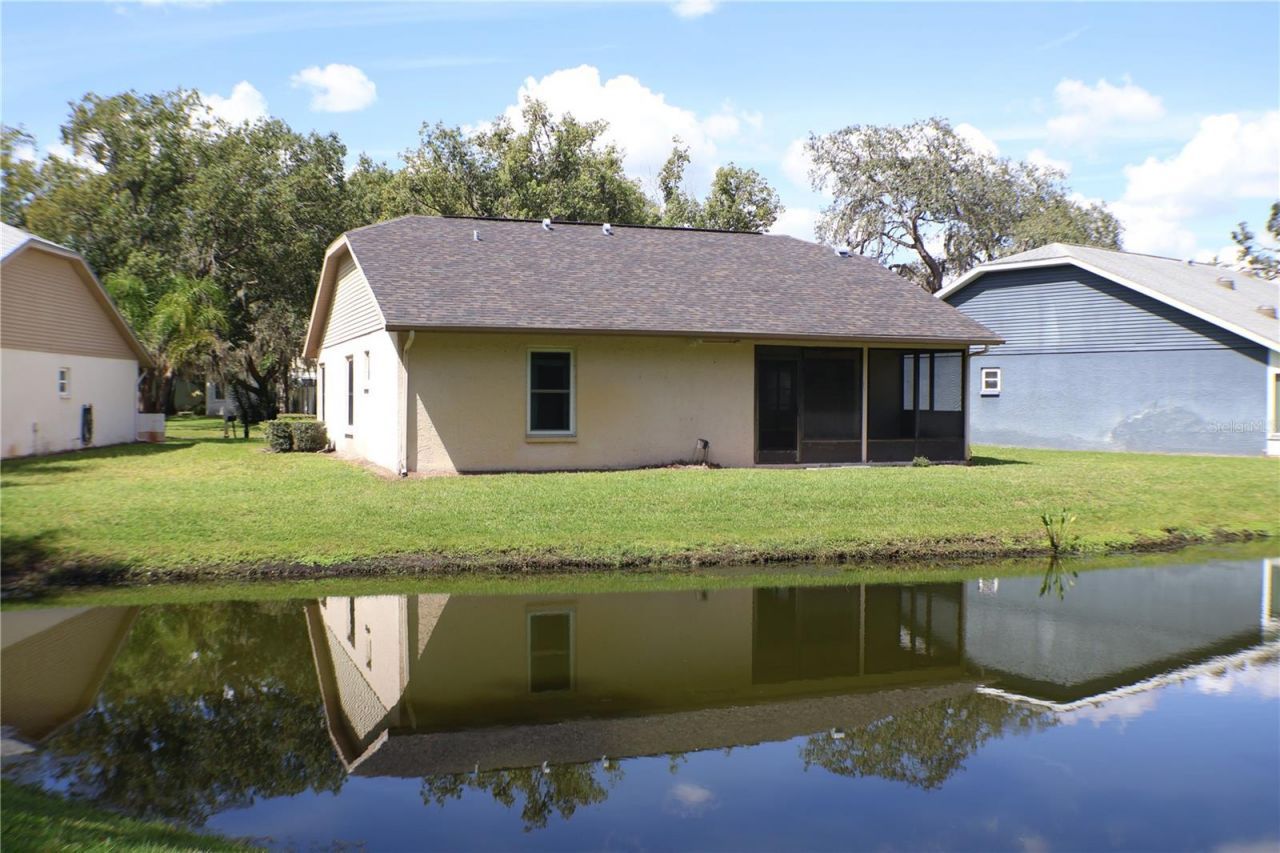 11806 White Ash Drive, New Port Richey, FL 34654 Photo