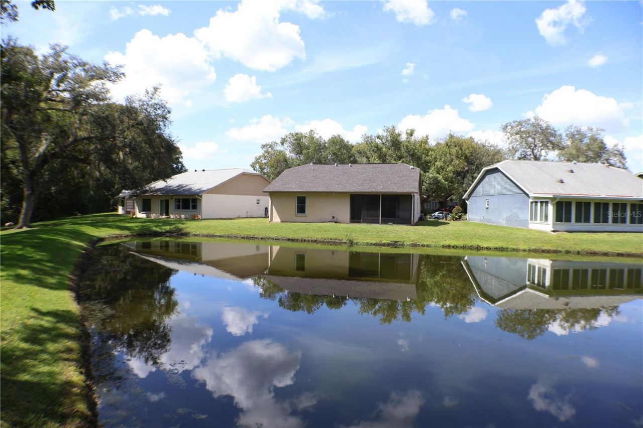 11806 White Ash Drive, New Port Richey, FL 34654 Photo