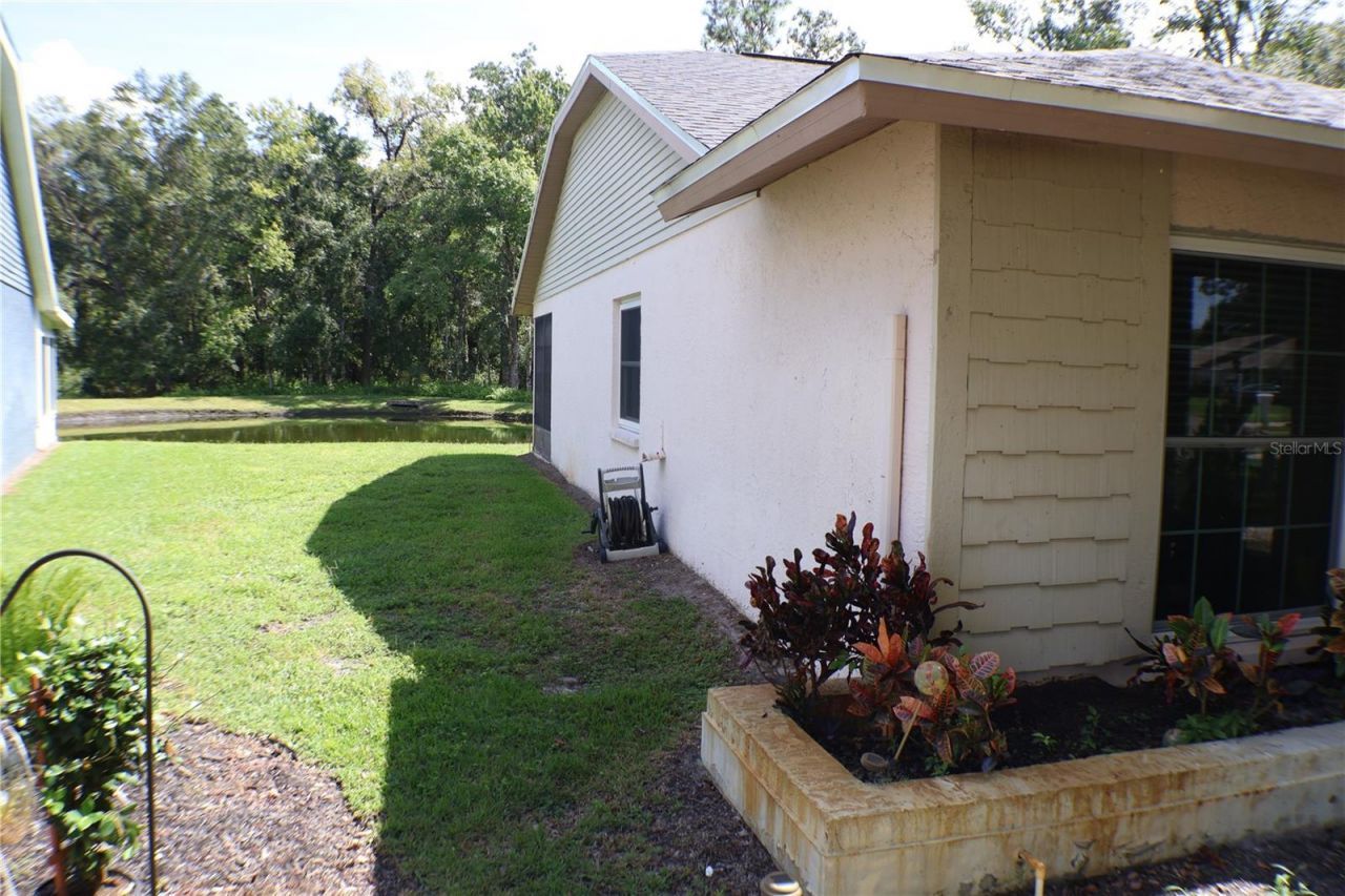 11806 White Ash Drive, New Port Richey, FL 34654 Photo