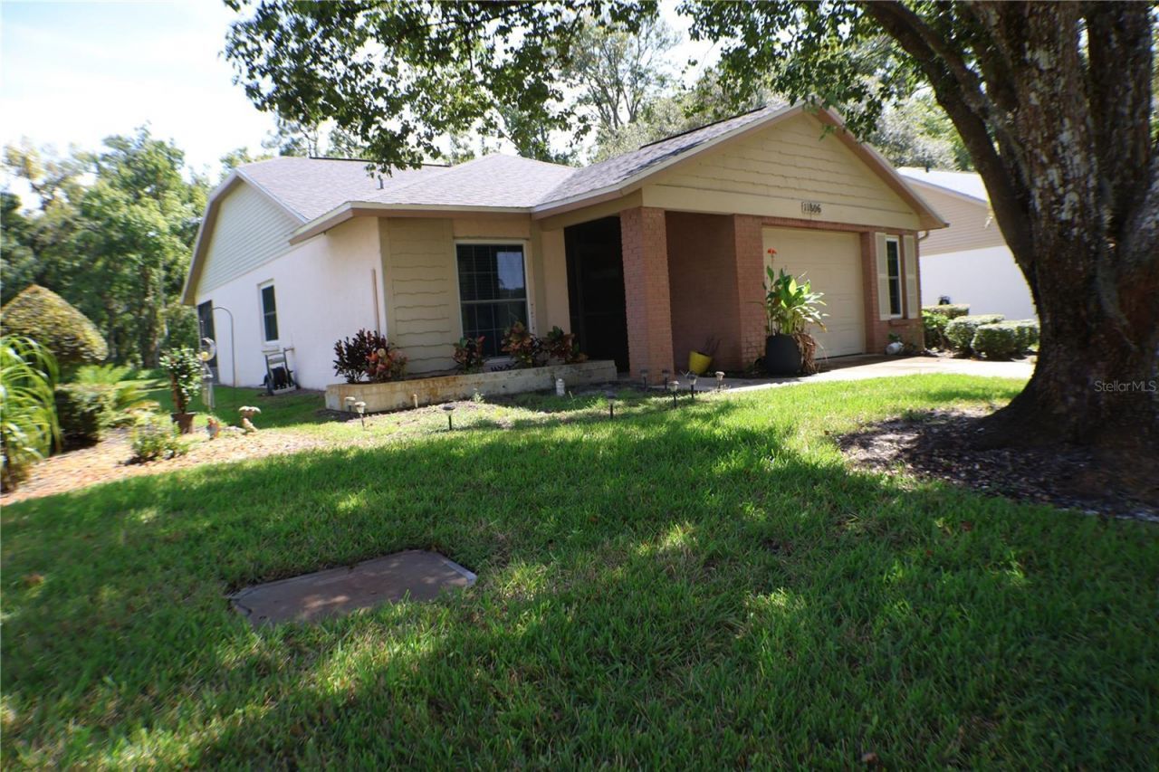 11806 White Ash Drive, New Port Richey, FL 34654 Photo