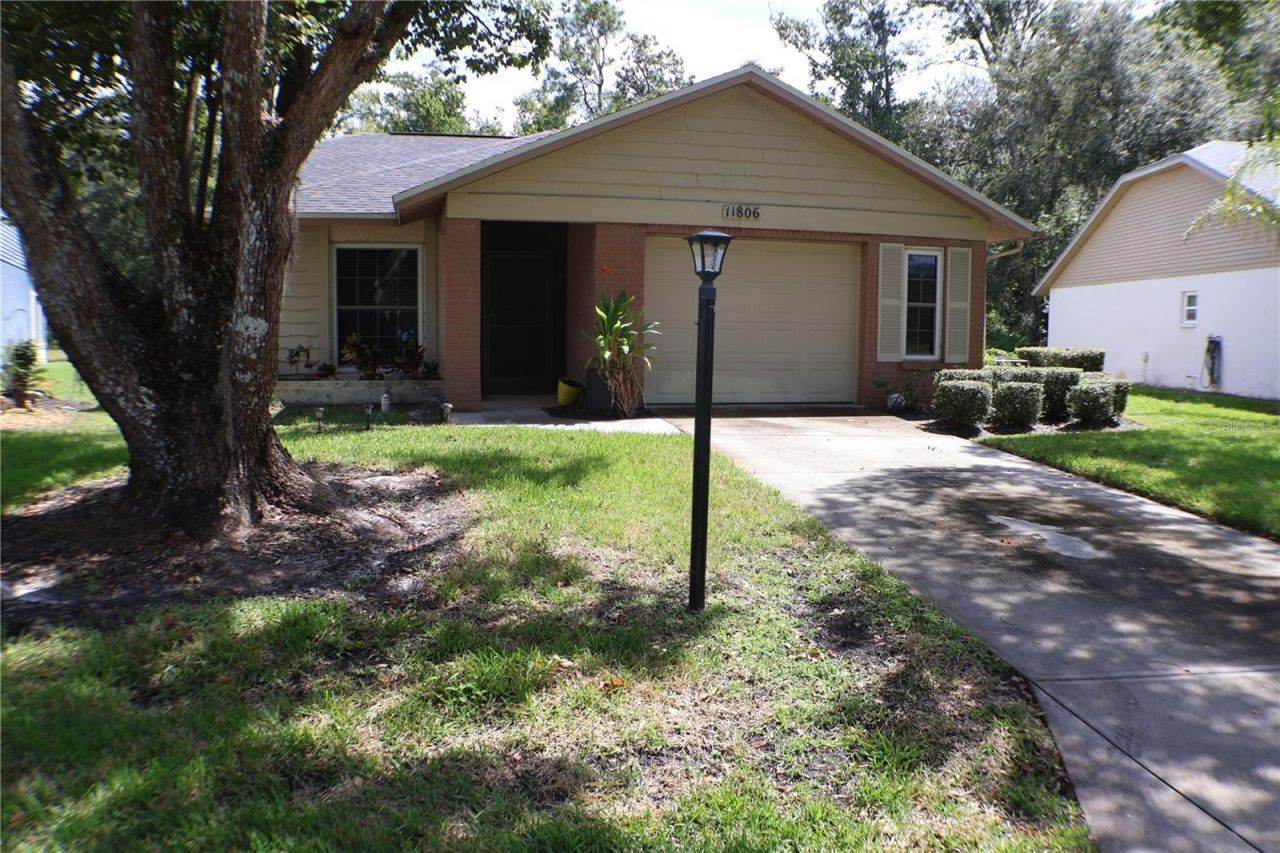 11806 White Ash Drive, New Port Richey, FL 34654 Photo