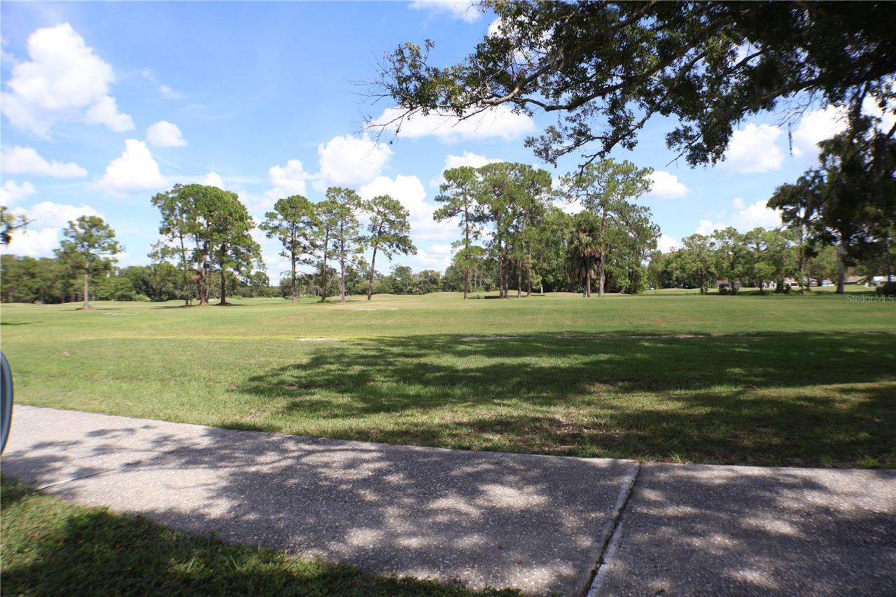 11806 White Ash Drive, New Port Richey, FL 34654 Photo
