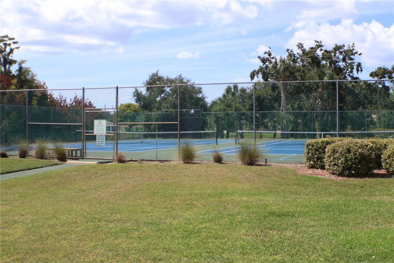 11806 White Ash Drive, New Port Richey, FL 34654 Photo