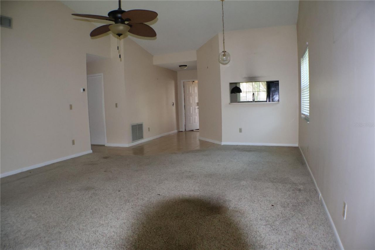 11806 White Ash Drive, New Port Richey, FL 34654 Photo
