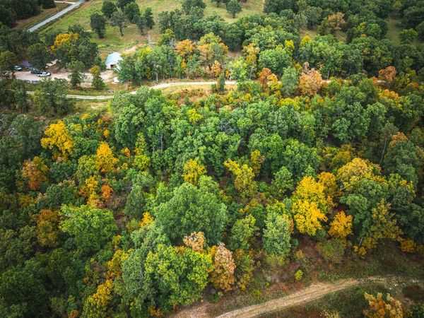 1 Firehouse , Waynesville, MO 65583