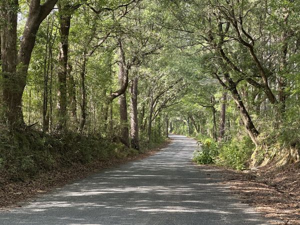 80+/- AC Old River Road, Baker, FL 32531