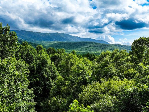 Angie Lane Lane, Gatlinburg, TN 37738