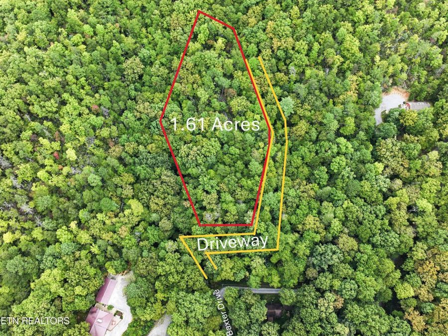 Property Image 5