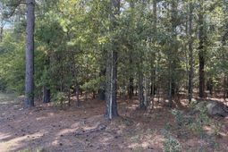 000 Slab Landing Road photo 4