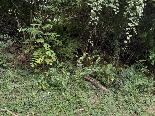 0 Fairland RD NW, Roanoke, VA 24017