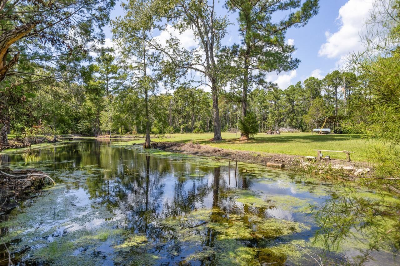 11942 SW Overstreet Avenue, Lamont, FL 32336 Photo