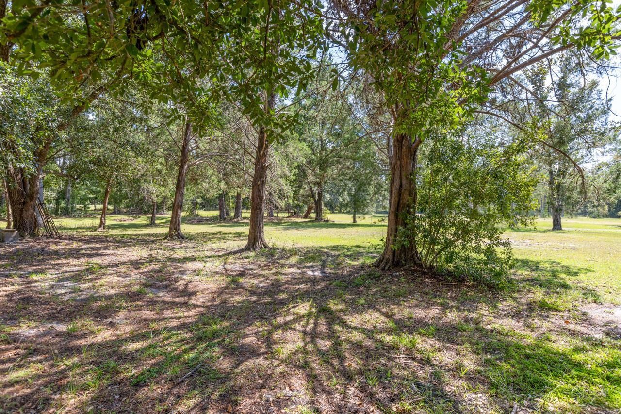 11942 SW Overstreet Avenue, Lamont, FL 32336 Photo