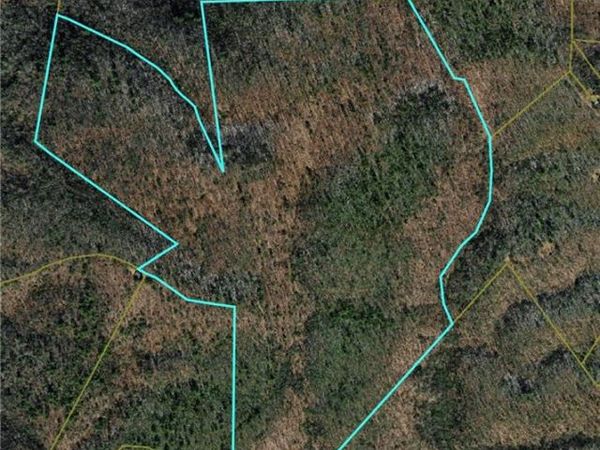 0000 Buckwheat Road, McGrady, NC 28649