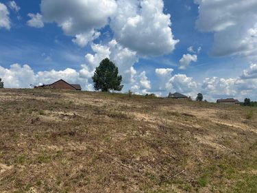 Lot 50 Sara Lane, London, KY 40741