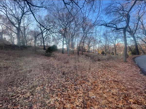 S Coves Drive, Afton, OK 74331