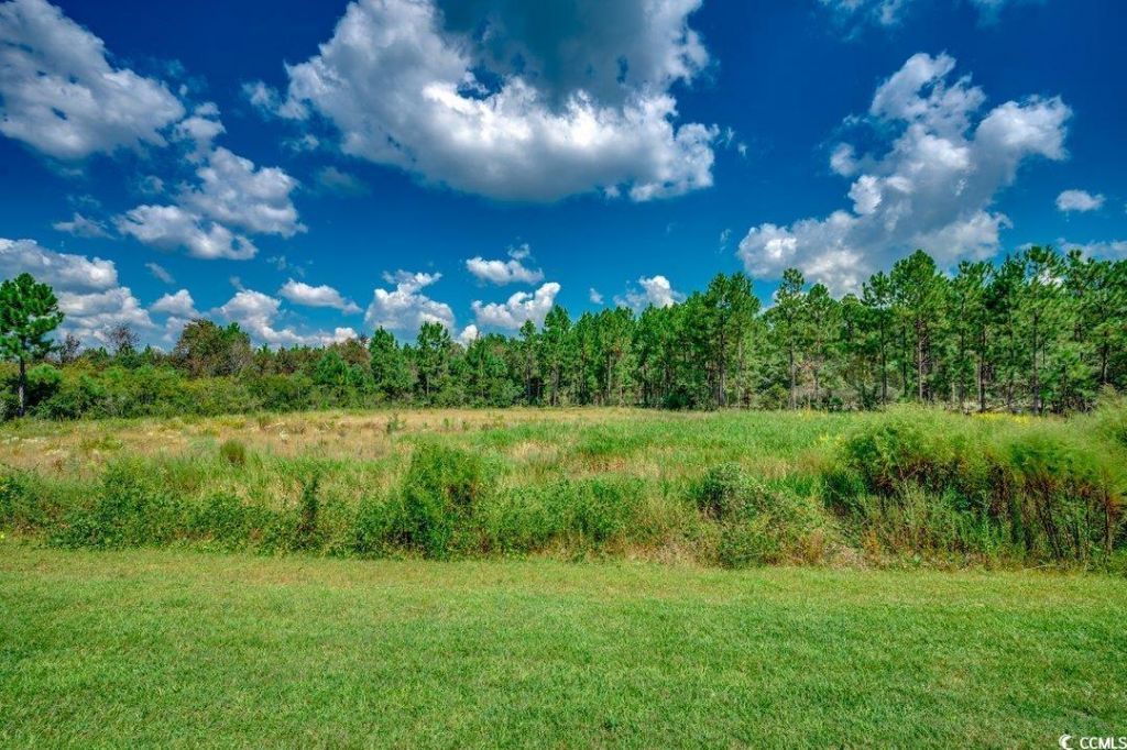 3120 Bells Lake Circle Photo 27