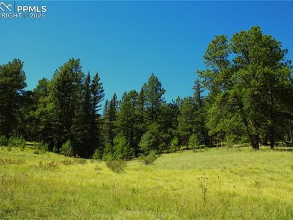 6500 County Road 5, Divide, CO 80814