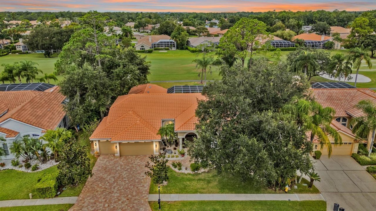 1244 Greybrooke Place, Oldsmar, FL 34677 Photo