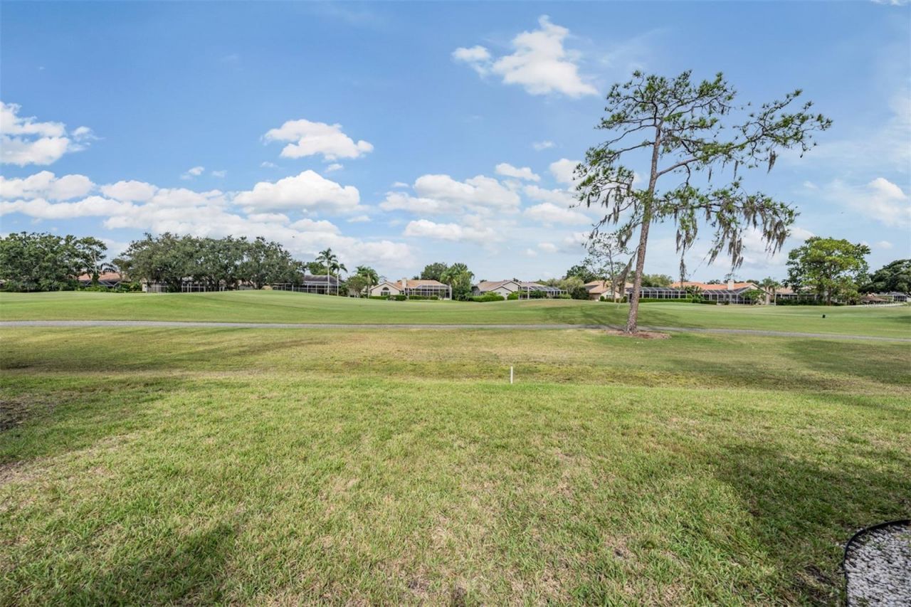 1244 Greybrooke Place, Oldsmar, FL 34677 Photo