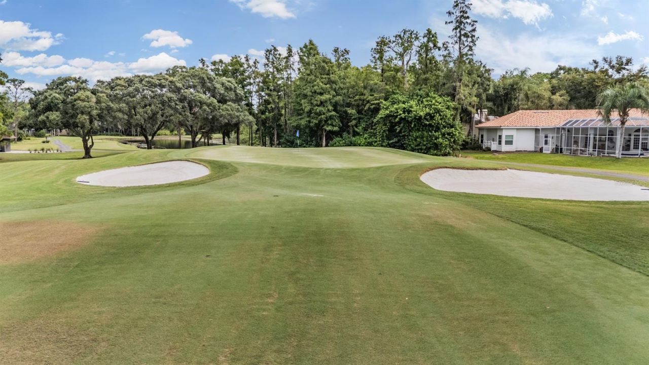 1244 Greybrooke Place, Oldsmar, FL 34677 Photo