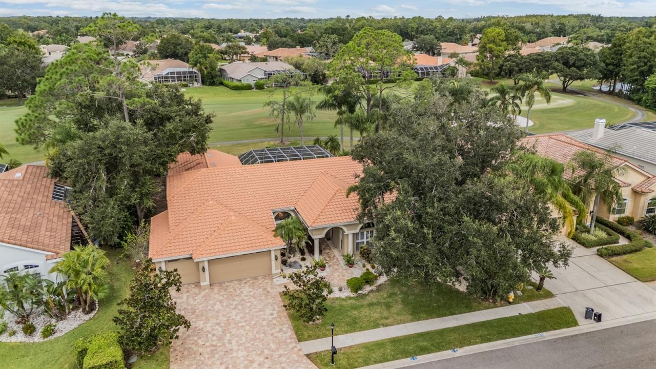 1244 Greybrooke Place, Oldsmar, FL 34677 Photo